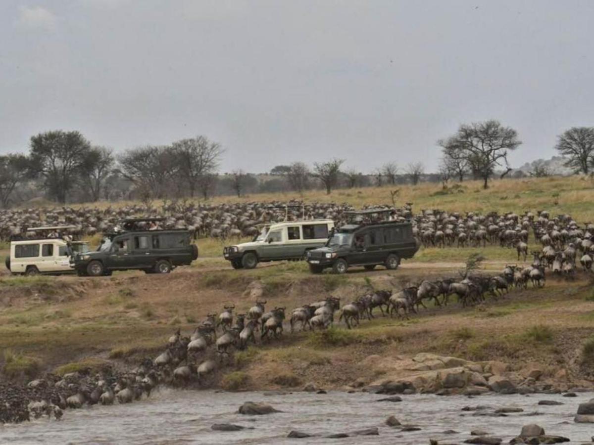 Serengeti Kifaru Tented Lodge Mugumu Exterior foto