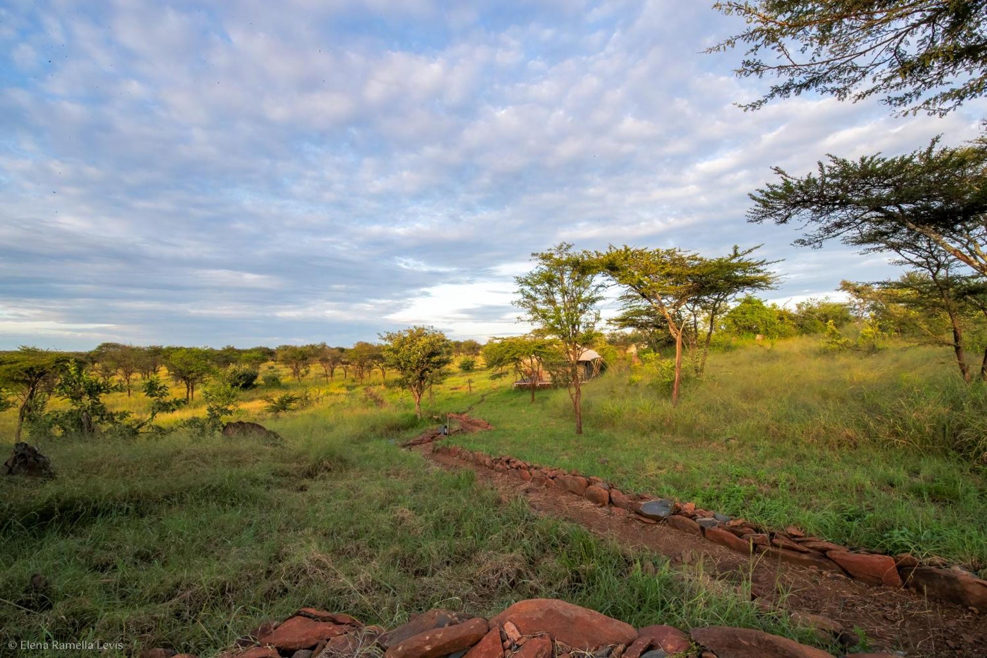 Serengeti Kifaru Tented Lodge Mugumu Exterior foto